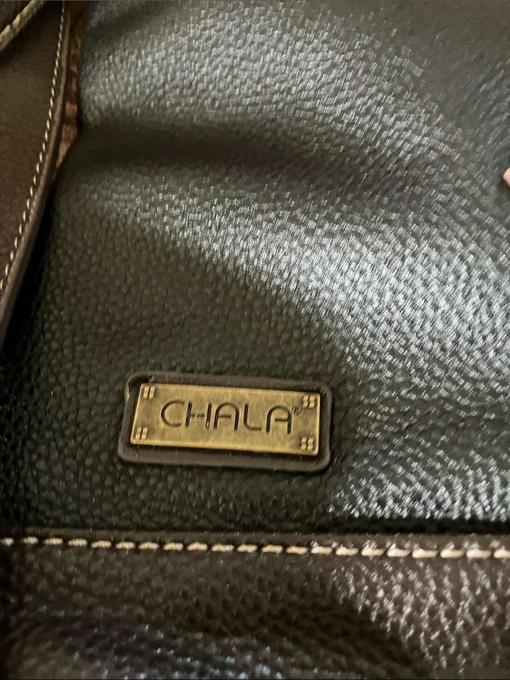 Chala Black Crossbody Bag with Teal Dragonfly and Multicolor Appliqué - Picture 3 of 8